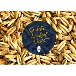 Malta Simpsons Golden naked oats (avena malteada) sin moler