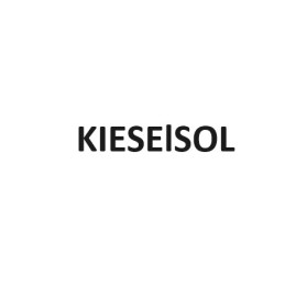 Kieselsol - botella de 750 ml