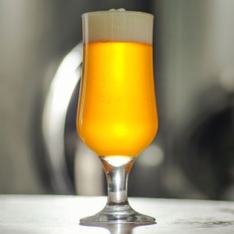 Kit cerveza Brut IPA sin moler  - todo grano 10 L