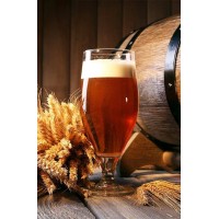 Kit para hacer cerveza artesanal - lotes 10 litros